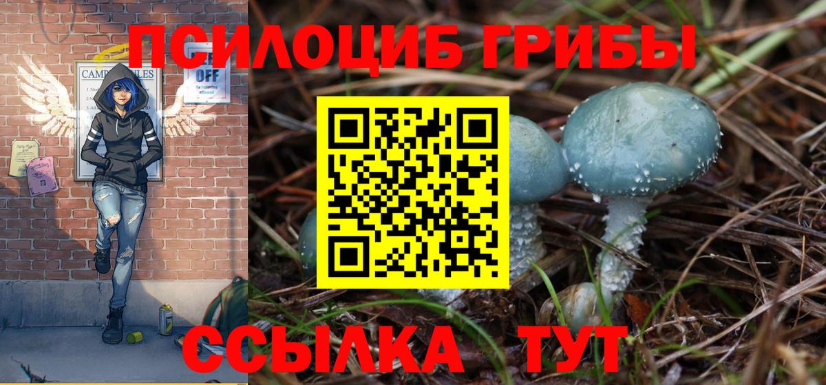 Псилоцибиновые грибы Psilocybe  Вход с VPN  Зеленокумск 